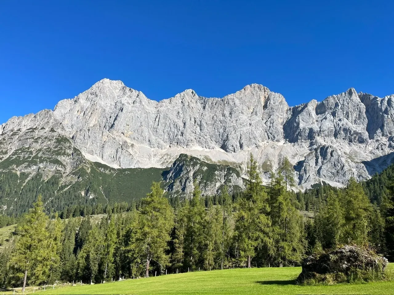 f8236c8d-f110-40be-984a-b90e417e70cc